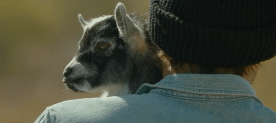 love me as … I​ Love&nbsp;You