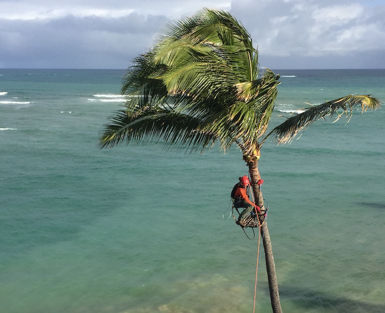 16865179_10208604199531801_3977136836490910808_n