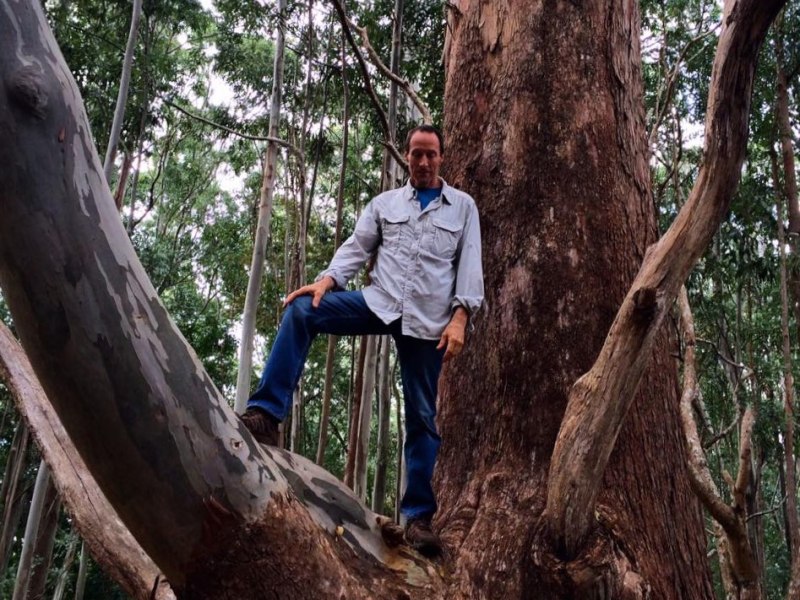 Bird and Me in a&nbsp;Tree