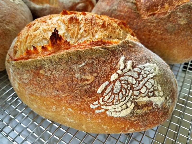 Sourdough English Muffins