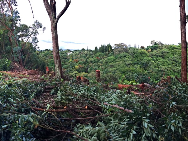 The Gulch was&nbsp;Hungry