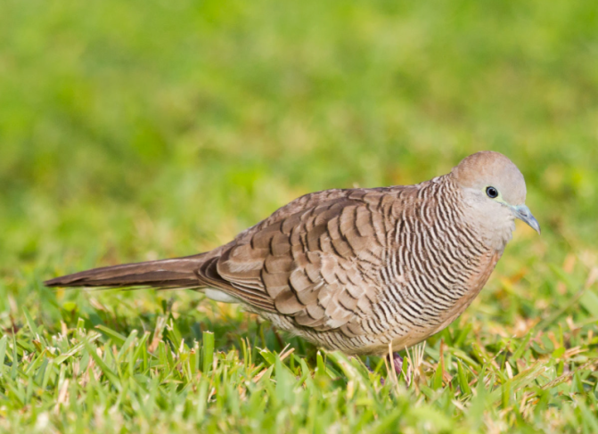 Screen Shot 2018-11-04 at 17.21.23