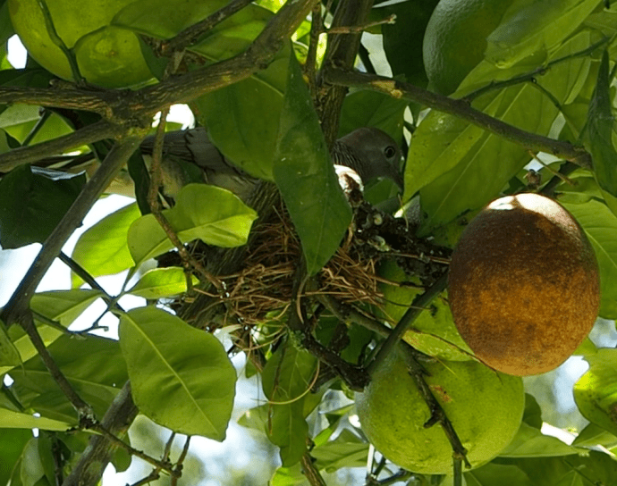 Screen Shot 2018-11-04 at 17.37.23