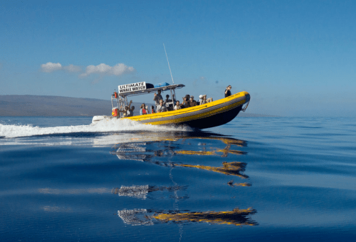 Screen Shot 2018-12-29 at 08.34.26