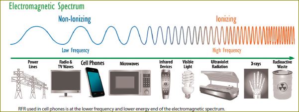 ntp fact sheet spectrum