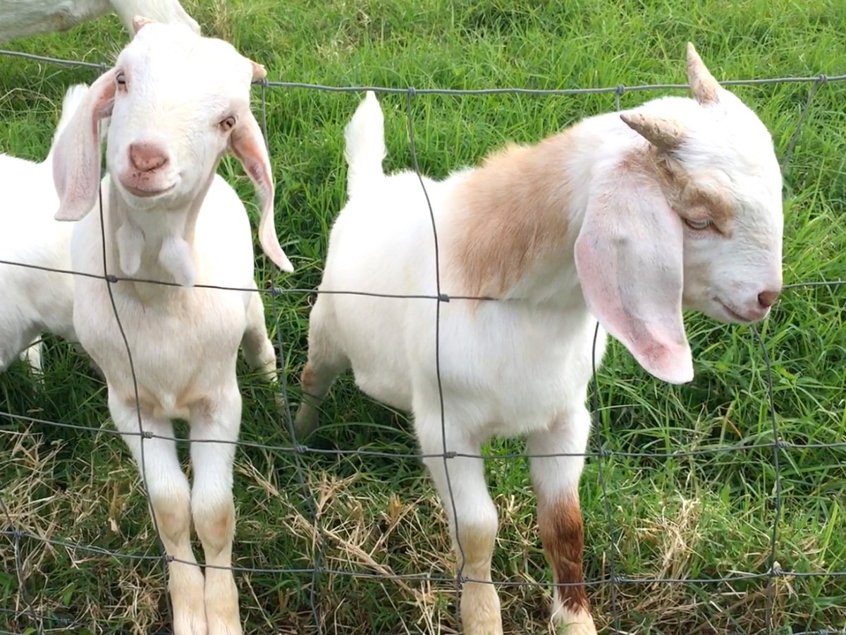 Wanting to be&nbsp;Loved