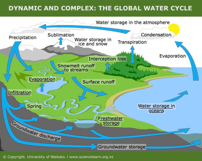 Screen Shot 2019-08-24 at 11.15.43