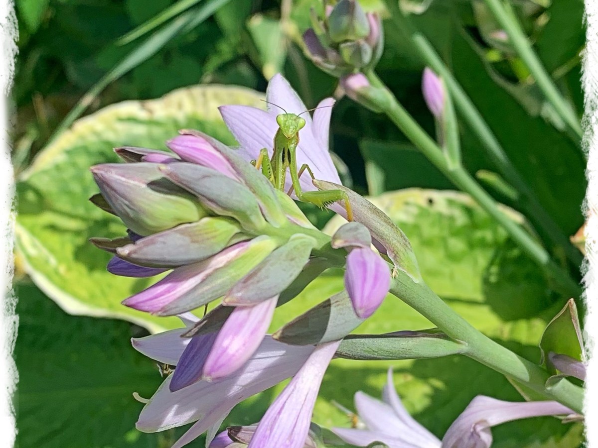 Waiting On A&nbsp;Friend